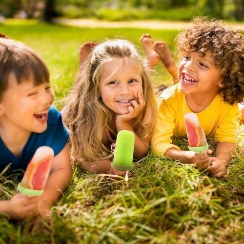 6Pcs Popsicle Molds Reusable Ice Cream DIY Ice Pop Maker Ice Bar Maker